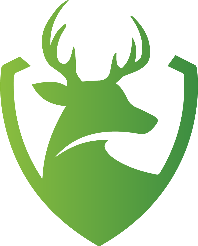 Roe Deer